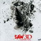 SAW 3D-CHAPITRE FINAL